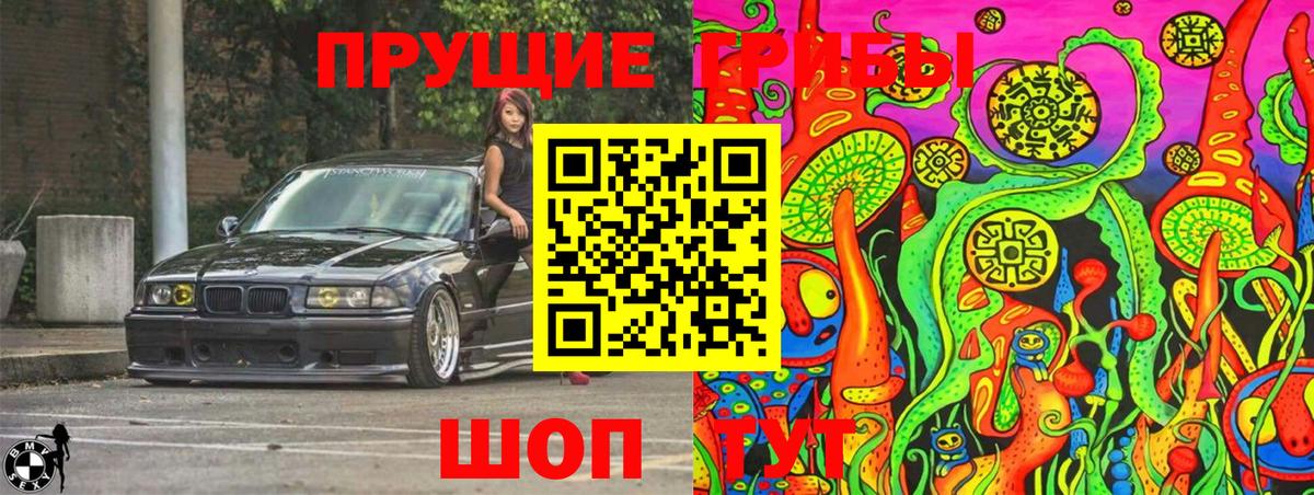 Карабулак  Псилоцибиновые грибы Psilocybine cubensis  Вход с VPN 